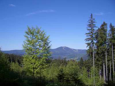 Blick zum Großen Arber