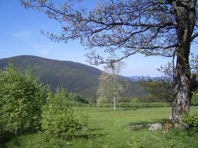 Blick von der Straße bei Srni zum Kiesleiten