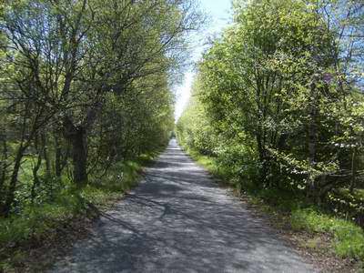 Der Radweg nach Zhuri